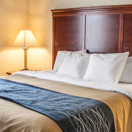 Comfort Inn & Suites Kent - University Area エクステリア 写真