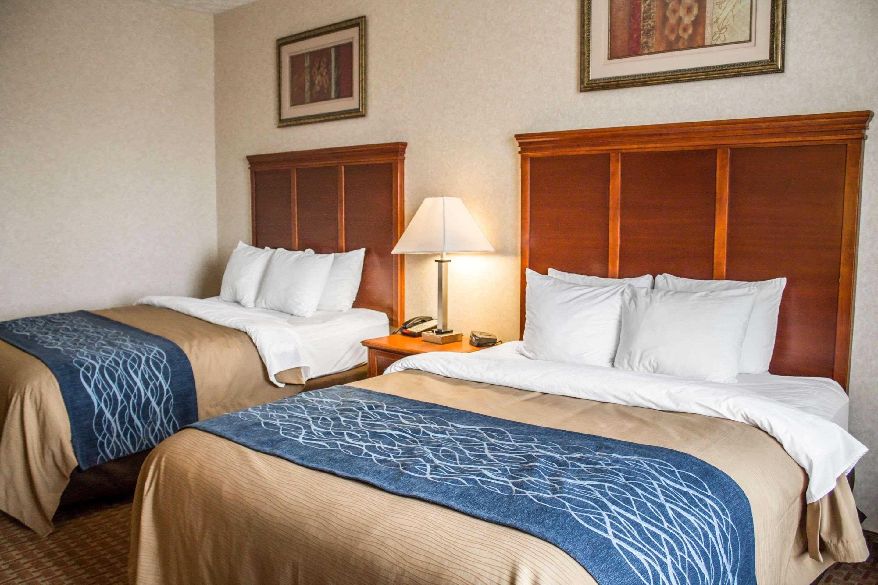 Comfort Inn & Suites Kent - University Area エクステリア 写真